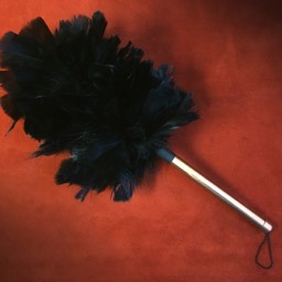 The Black Bird